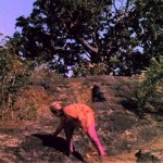 Cobra Girl-Naag Rani (1974) – Hindi Movie Watch  , Ragini , Mahipal