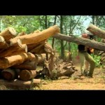 Sanam Harjai (1995) – Full Movie Online – Himanshu  , Sadashiv