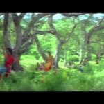 Abhimanyu IAS (2006) –  Hindi Dubbed Movie – Vijayakanth , Roza    