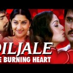 Diljale – The Burning Heart (2009), South Indian Hindi Dubbed Movie, Shrikant, Venkat, Brahmanand Ali