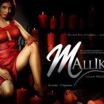 Mallika (2010), A Horror Movie Watch Online,Sheena Nayyar, Sameer Dattani, Himanshu Mallik