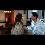Haseena , Smart, Sexy, Dangerous (2006) Watch Bollywood Hindi Movie, Rajan Kapoor, Eesha Koppikhar 