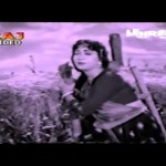 Baraat (1960) Online Watch Download Free Bollywood Movie, Shakila, Ajit