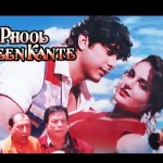 Ek Phool Teen Kante Jukebox (1997) Online Watch Free Bollywood Movie,Vikas Bhalla, Monica Bedi, Sadashiv
