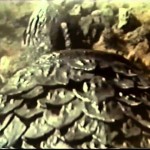 Destroy All Planets (1968) Hollywood Hindi Dubbed Movie,Kôjirô Hongô, Tôru Takatsuka, Carl Craig